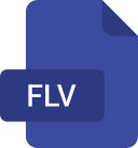 flv icon