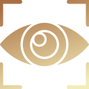 visión icon