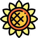 girasol icon