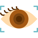 escaneo de ojos icon