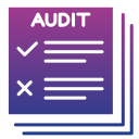 auditoría icon