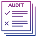 auditoría icon