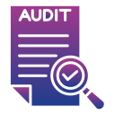 auditoría icon