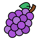 uvas icon