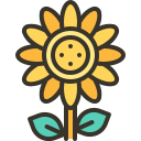 girasol icon