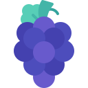 uvas icon