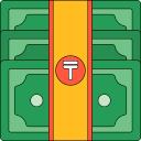 tenge icon