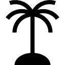 palmera