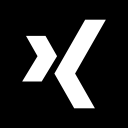 xing icon