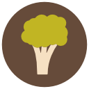 brócoli icon