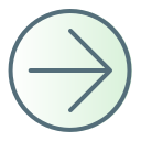 flecha correcta icon