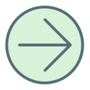 flecha correcta icon