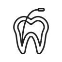 endodoncia