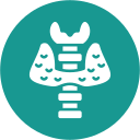 endocrinología icon