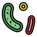 bacterias icon