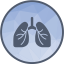 pulmones icon