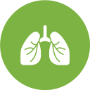 pulmones icon