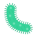 bacterias icon