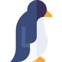 pingüino icon