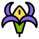 iris icon