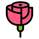 rosa icon