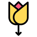 tulipanes icon