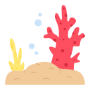 coral 