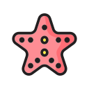 estrella de mar icon