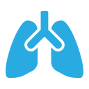 pulmones icon