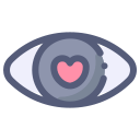 ojo icon