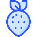 fresa icon