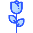 naturaleza icon