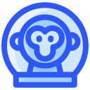 espacio icon