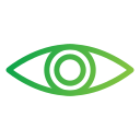 ojo icon