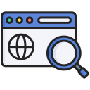 dominio icon