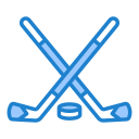 hockey icon