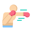 Boxing 
