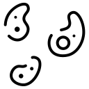 Наука 