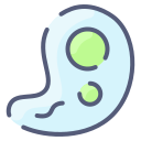 Наука 