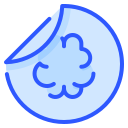 idea icon