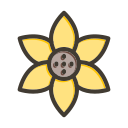 girasol icon