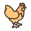 pollo icon