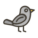 pájaro icon