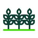 naturaleza icon