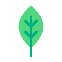 naturaleza icon