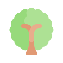 naturaleza icon