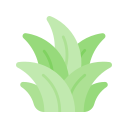 naturaleza icon