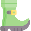 zapatos icon