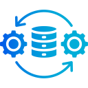 procesamiento de datos icon