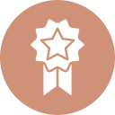 insignia de estrella 